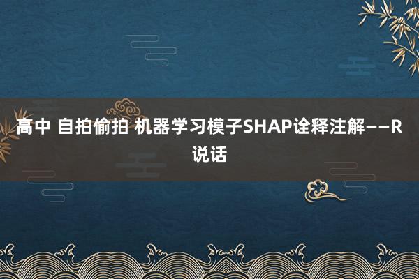 高中 自拍偷拍 机器学习模子SHAP诠释注解——R说话