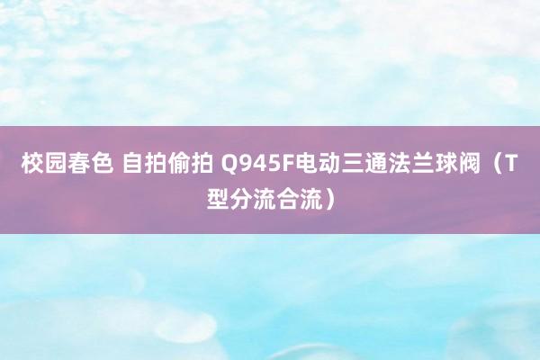 校园春色 自拍偷拍 Q945F电动三通法兰球阀（T型分流合流）