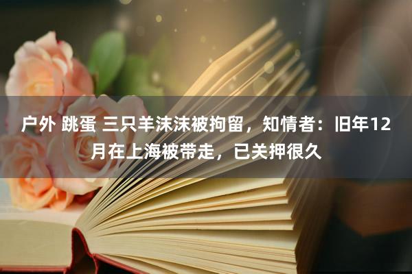 户外 跳蛋 三只羊沫沫被拘留，知情者：旧年12月在上海被带走，已关押很久