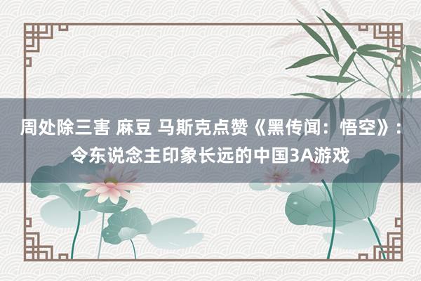 周处除三害 麻豆 马斯克点赞《黑传闻：悟空》：令东说念主印象长远的中国3A游戏