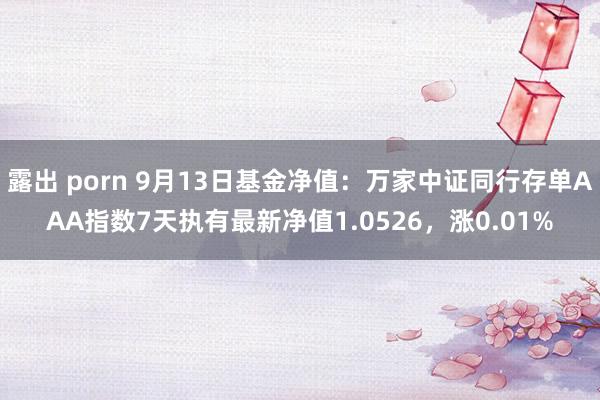 露出 porn 9月13日基金净值：万家中证同行存单AAA指数7天执有最新净值1.0526，涨0.01%