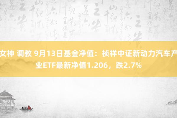 女神 调教 9月13日基金净值：祯祥中证新动力汽车产业ETF最新净值1.206，跌2.7%