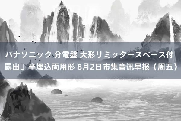 パナソニック 分電盤 大形リミッタースペース付 露出・半埋込両用形 8月2日市集音讯早报（周五）