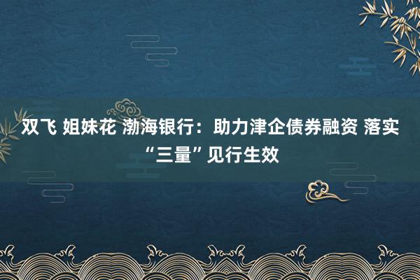 双飞 姐妹花 渤海银行：助力津企债券融资 落实“三量”见行生效