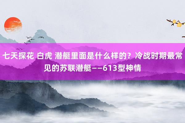 七天探花 白虎 潜艇里面是什么样的？冷战时期最常见的苏联潜艇——613型神情