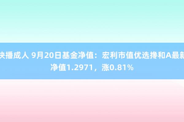 快播成人 9月20日基金净值：宏利市值优选搀和A最新净值1.2971，涨0.81%