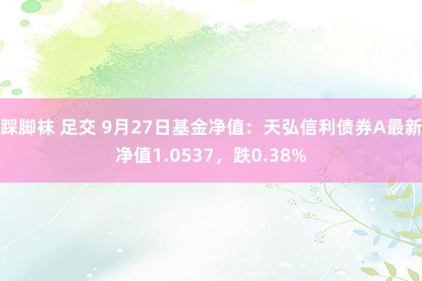 踩脚袜 足交 9月27日基金净值：天弘信利债券A最新净值1.0537，跌0.38%