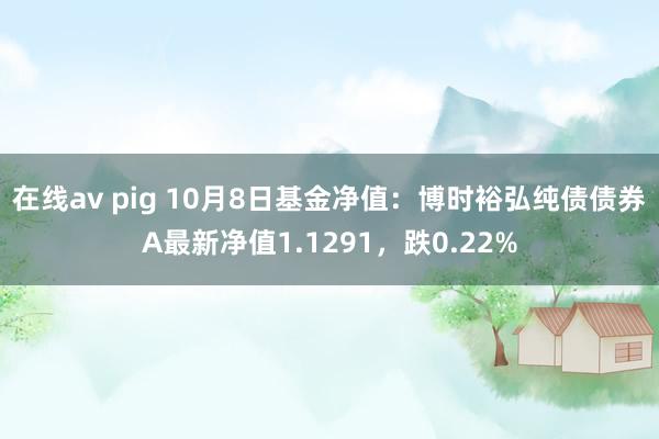 在线av pig 10月8日基金净值：博时裕弘纯债债券A最新净值1.1291，跌0.22%