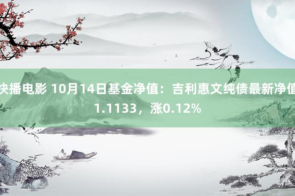 快播电影 10月14日基金净值：吉利惠文纯债最新净值1.1133，涨0.12%