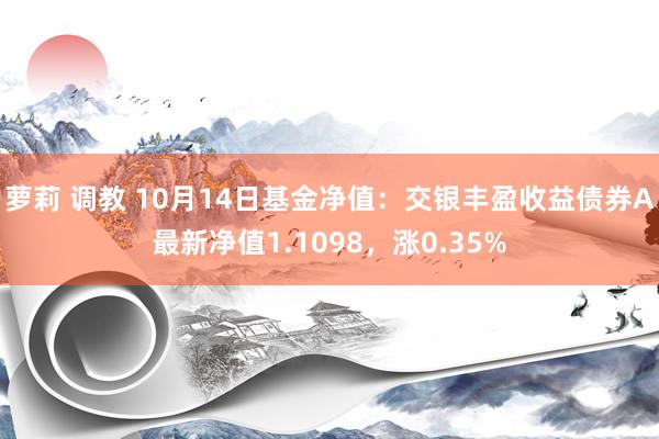 萝莉 调教 10月14日基金净值：交银丰盈收益债券A最新净值1.1098，涨0.35%