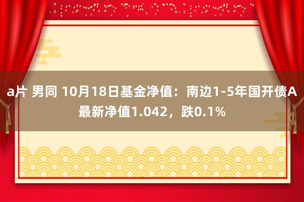 a片 男同 10月18日基金净值：南边1-5年国开债A最新净值1.042，跌0.1%