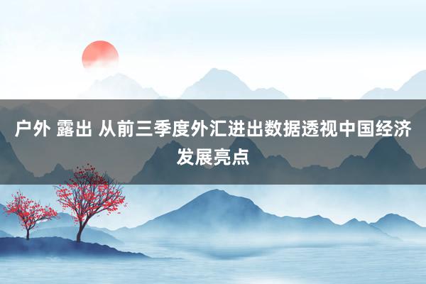 户外 露出 从前三季度外汇进出数据透视中国经济发展亮点