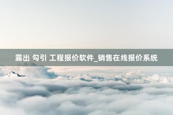 露出 勾引 工程报价软件_销售在线报价系统