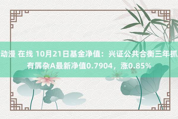 动漫 在线 10月21日基金净值：兴证公共合衡三年抓有羼杂A最新净值0.7904，涨0.85%