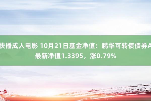 快播成人电影 10月21日基金净值：鹏华可转债债券A最新净值1.3395，涨0.79%