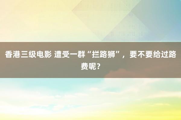 香港三级电影 遭受一群“拦路狮”，要不要给过路费呢？