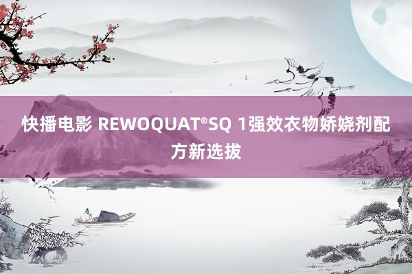 快播电影 REWOQUAT®SQ 1强效衣物娇娆剂配方新选拔