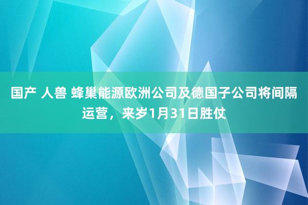 国产 人兽 蜂巢能源欧洲公司及德国子公司将间隔运营，来岁1月31日胜仗