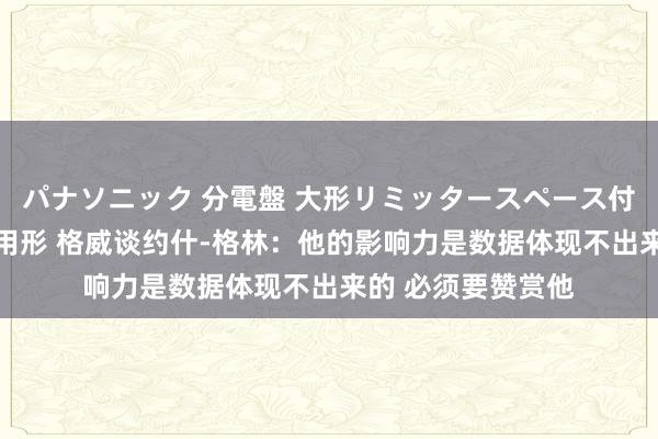 パナソニック 分電盤 大形リミッタースペース付 露出・半埋込両用形 格威谈约什-格林：他的影响力是数据体现不出来的 必须要赞赏他