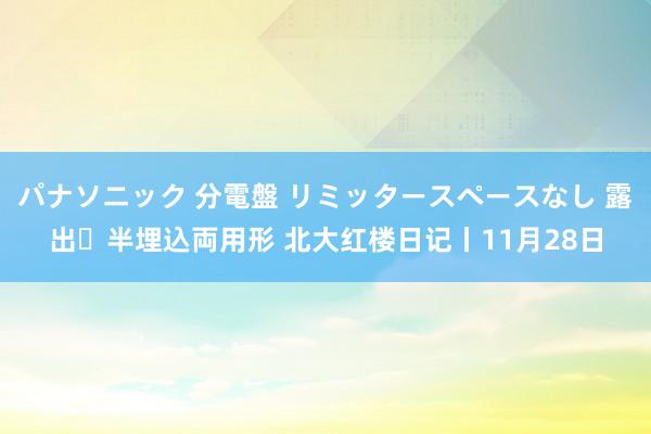 パナソニック 分電盤 リミッタースペースなし 露出・半埋込両用形 北大红楼日记丨11月28日