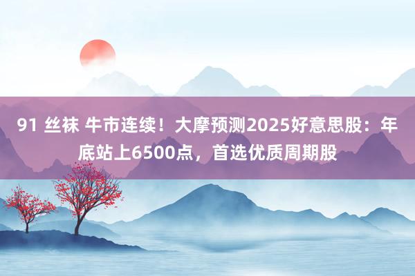 91 丝袜 牛市连续！大摩预测2025好意思股：年底站上6500点，首选优质周期股