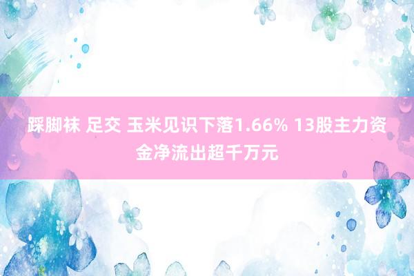 踩脚袜 足交 玉米见识下落1.66% 13股主力资金净流出超千万元