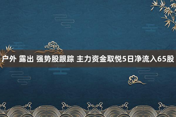 户外 露出 强势股跟踪 主力资金取悦5日净流入65股