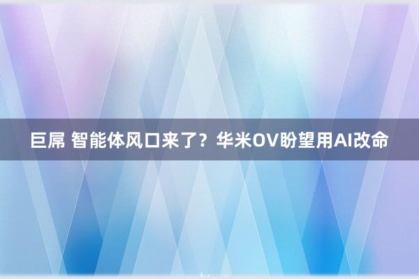 巨屌 智能体风口来了？华米OV盼望用AI改命