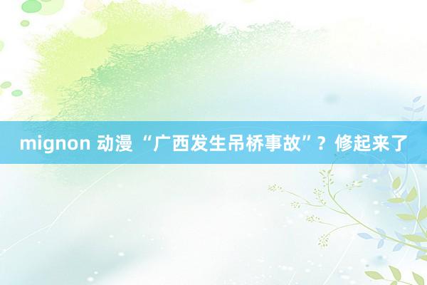 mignon 动漫 “广西发生吊桥事故”？修起来了