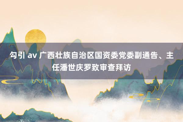 勾引 av 广西壮族自治区国资委党委副通告、主任潘世庆罗致审查拜访