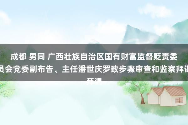 成都 男同 广西壮族自治区国有财富监督贬责委员会党委副布告、主任潘世庆罗致步骤审查和监察拜谒