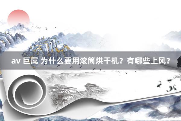 av 巨屌 为什么要用滚筒烘干机？有哪些上风？