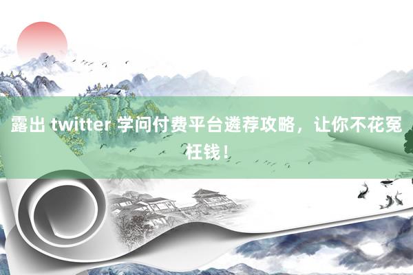 露出 twitter 学问付费平台遴荐攻略，让你不花冤枉钱！