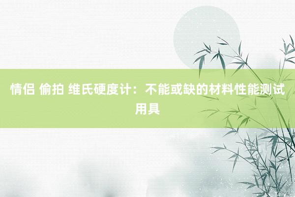 情侣 偷拍 维氏硬度计：不能或缺的材料性能测试用具