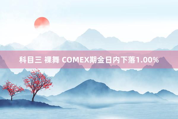 科目三 裸舞 COMEX期金日内下落1.00%