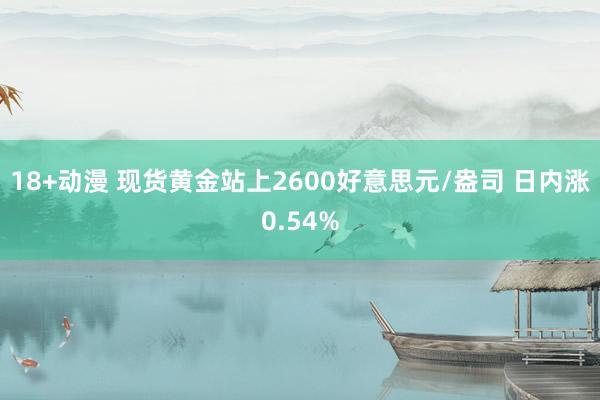 18+动漫 现货黄金站上2600好意思元/盎司 日内涨0.54%