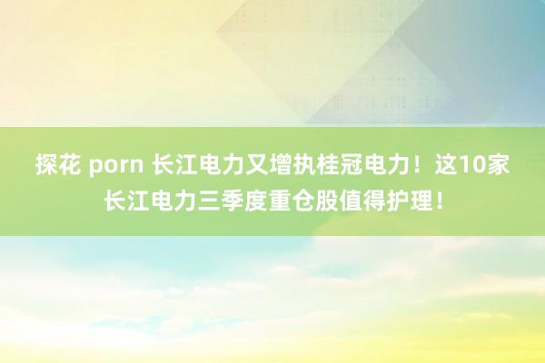 探花 porn 长江电力又增执桂冠电力！这10家长江电力三季度重仓股值得护理！