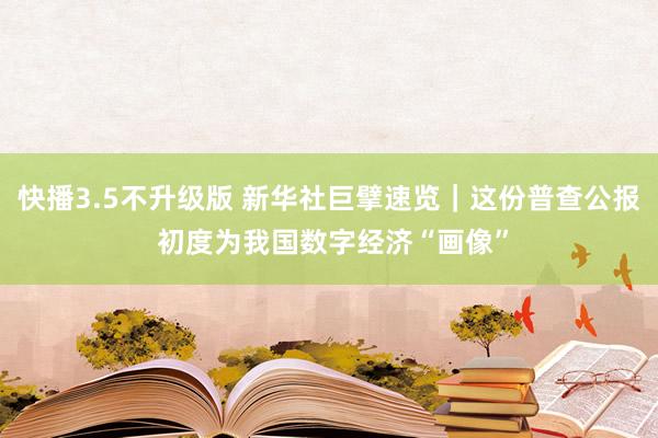 快播3.5不升级版 新华社巨擘速览｜这份普查公报 初度为我国数字经济“画像”