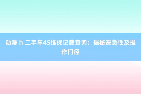 动漫 h 二手车4S维保记载查询：揭秘遑急性及操作门径