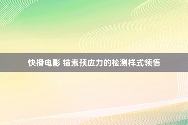 快播电影 锚索预应力的检测样式领悟