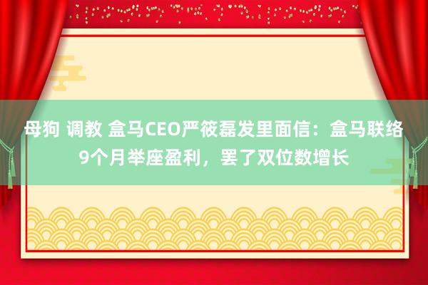 母狗 调教 盒马CEO严筱磊发里面信：盒马联络9个月举座盈利，罢了双位数增长