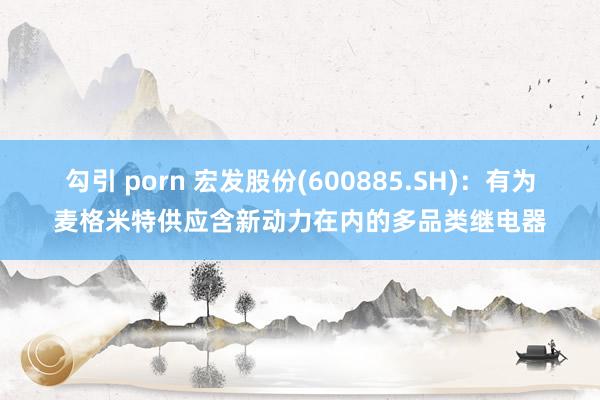 勾引 porn 宏发股份(600885.SH)：有为麦格米特供应含新动力在内的多品类继电器