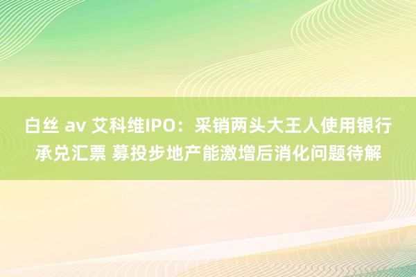 白丝 av 艾科维IPO：采销两头大王人使用银行承兑汇票 募投步地产能激增后消化问题待解