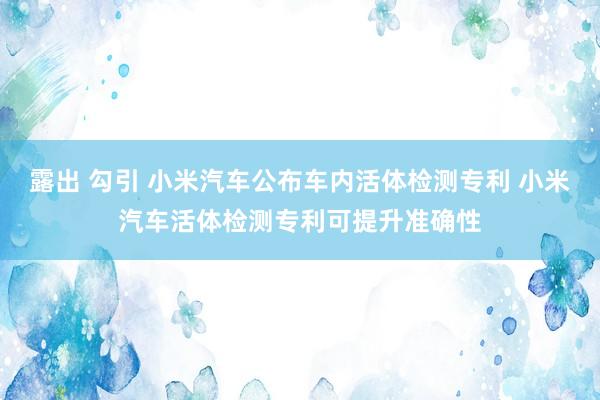 露出 勾引 小米汽车公布车内活体检测专利 小米汽车活体检测专利可提升准确性