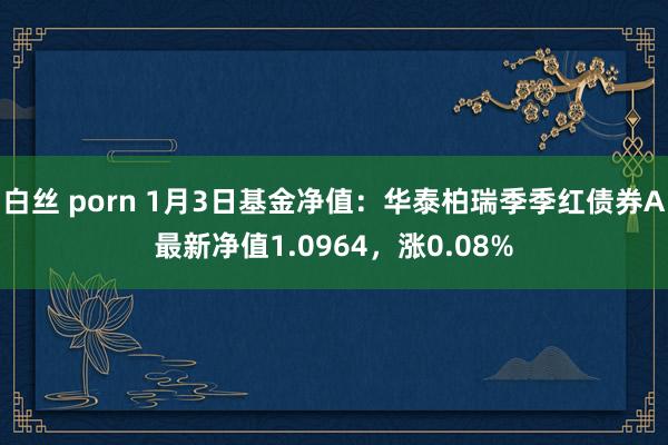 白丝 porn 1月3日基金净值：华泰柏瑞季季红债券A最新净值1.0964，涨0.08%