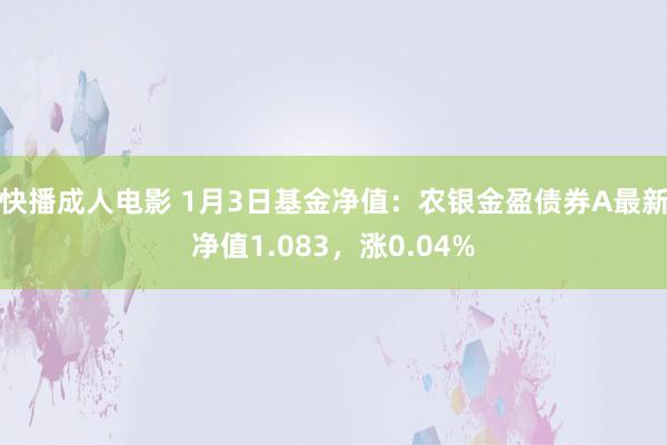 快播成人电影 1月3日基金净值：农银金盈债券A最新净值1.083，涨0.04%