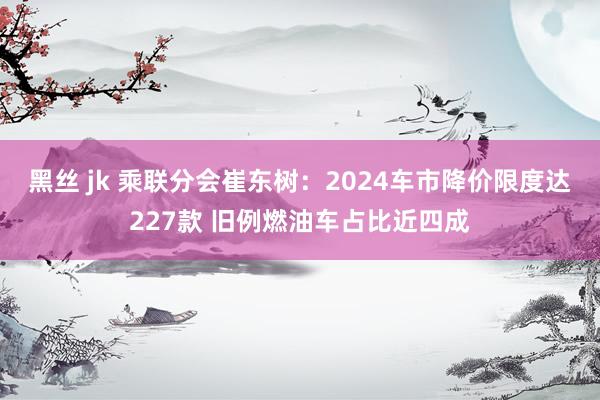 黑丝 jk 乘联分会崔东树：2024车市降价限度达227款 旧例燃油车占比近四成