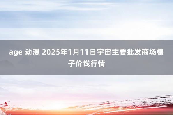 age 动漫 2025年1月11日宇宙主要批发商场榛子价钱行情