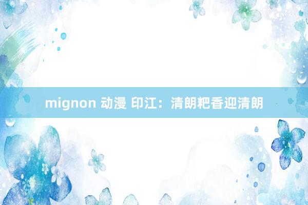 mignon 动漫 印江：清朗粑香迎清朗