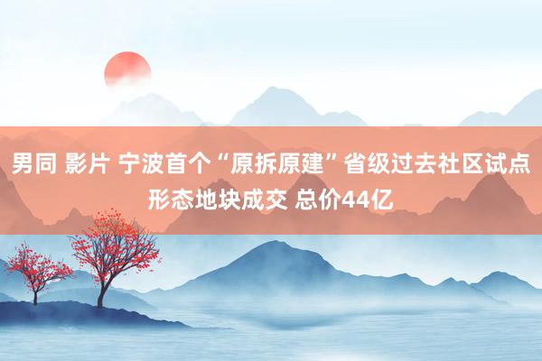 男同 影片 宁波首个“原拆原建”省级过去社区试点形态地块成交 总价44亿